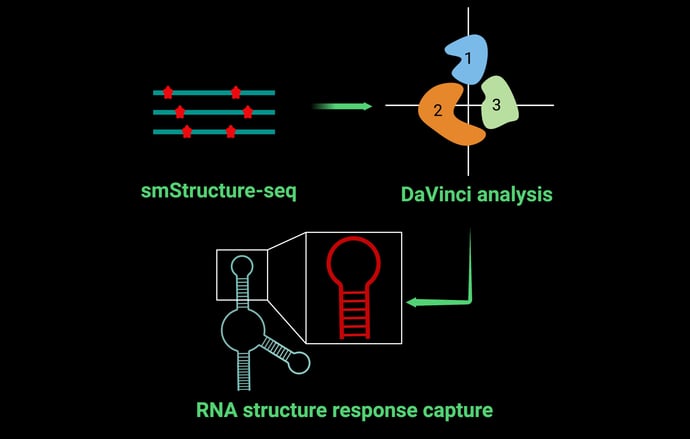 RNA structure research
